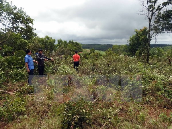 Khu vực đất công bị người dân vào lấn chiếm