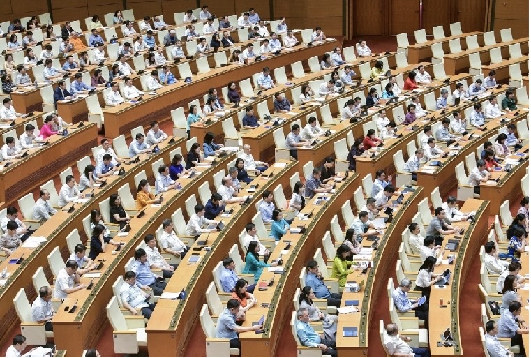  Các đại biểu tại Kỳ họp thứ 8 Quốc hội khóa XV