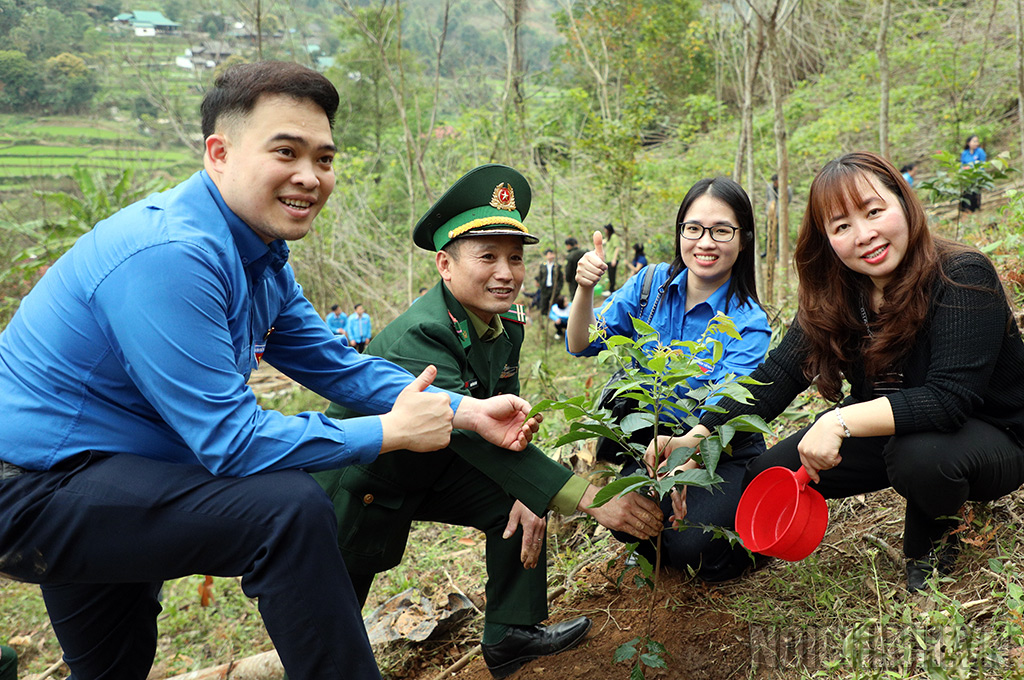 Hoạt động hưởng ứng Tết trồng cây tại xã Thông Thụ, huyện Quế Phong, Tỉnh Nghệ An